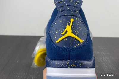 Retro Jordan AJ4-1036660 Soft 504 4 0918